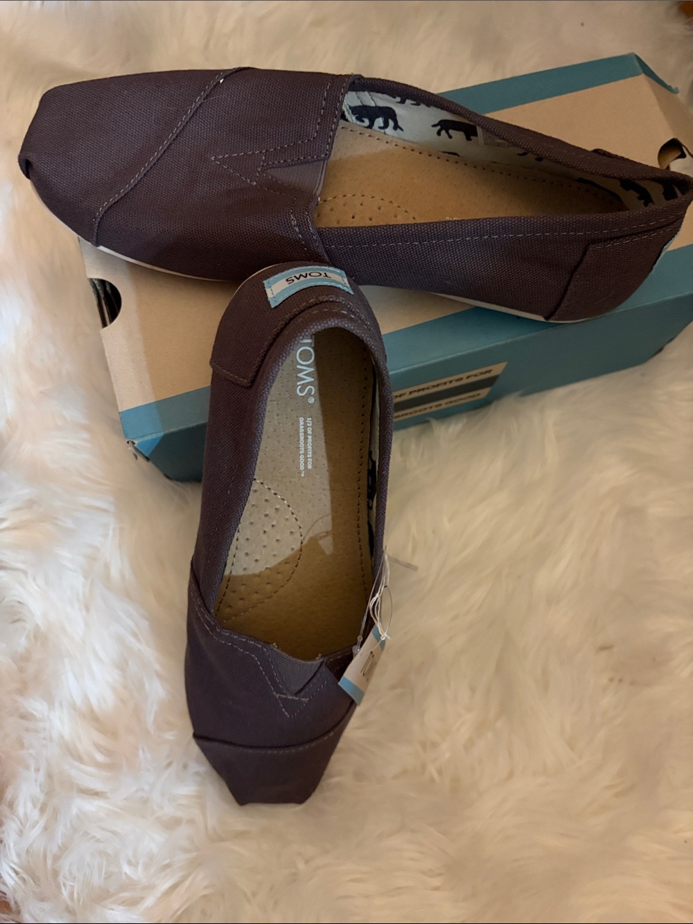 TOMS Women's Classic Canvas Slip-On in Dark Brown